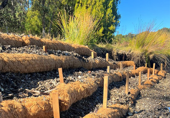 Coir Logs