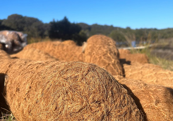 Coir Logs