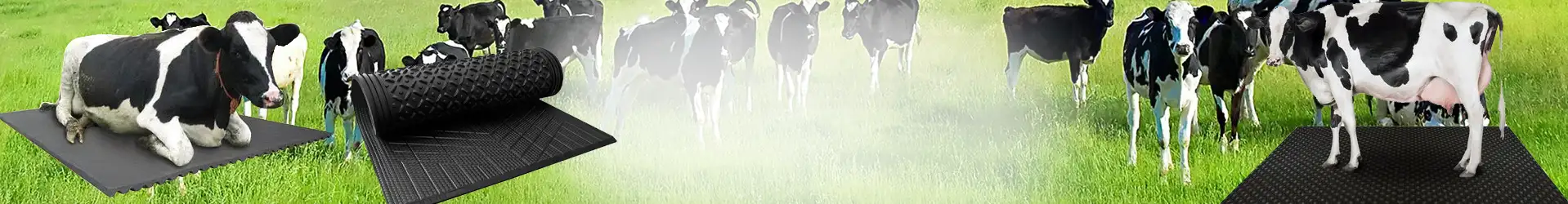 Cow Mats
