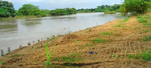 Coir Geotextiles